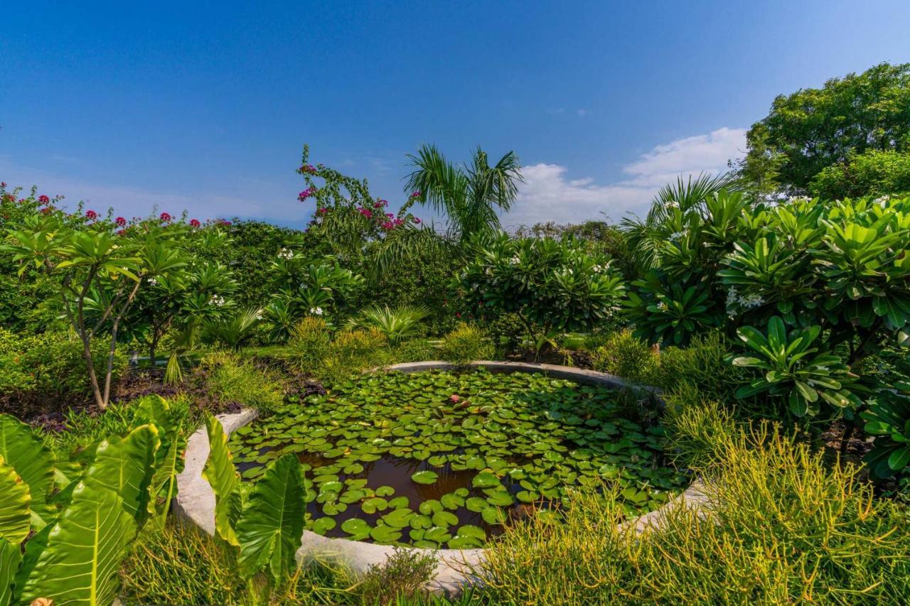 Stayvista'S Anantam - Luxury 4Br Villa With Huge Swimming Pool In Delhi 뉴델리 외부 사진